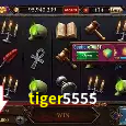 tiger5555